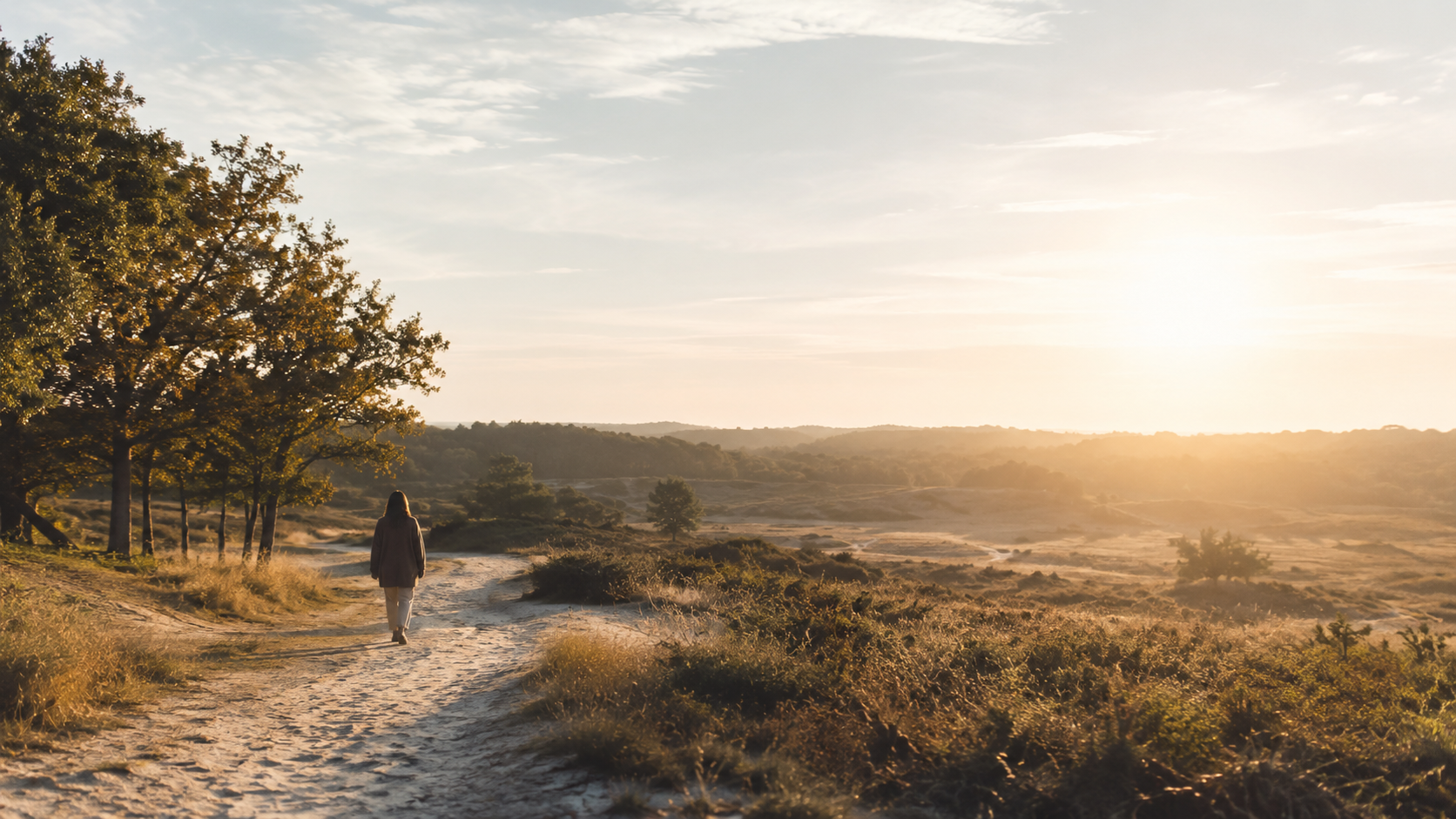 Rustige wandeling in open landschap